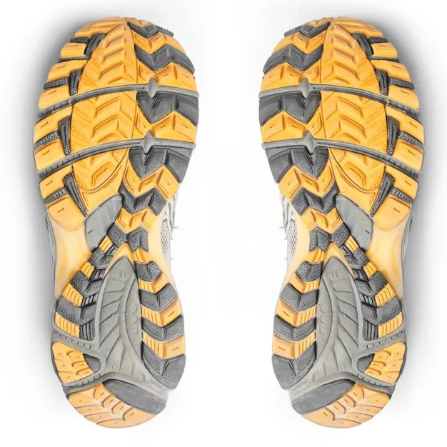 星空体育在线官网 运动品牌形象