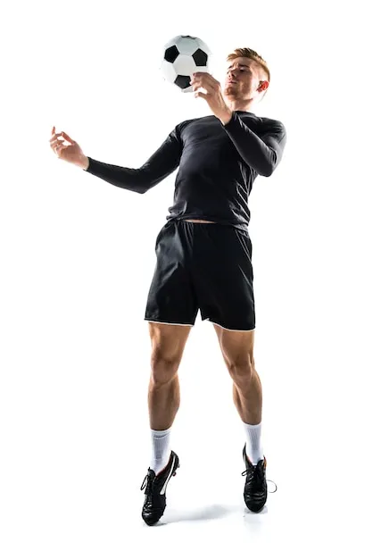 星空体育在线APP 预览